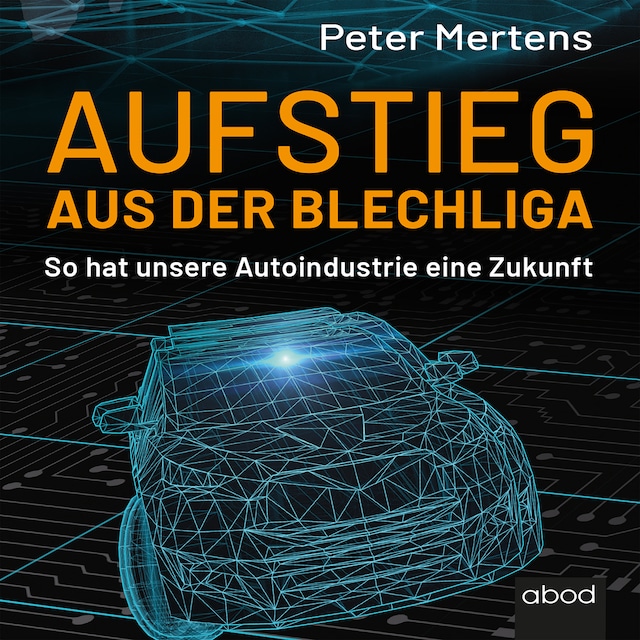 Buchcover für Aufstieg aus der Blechliga