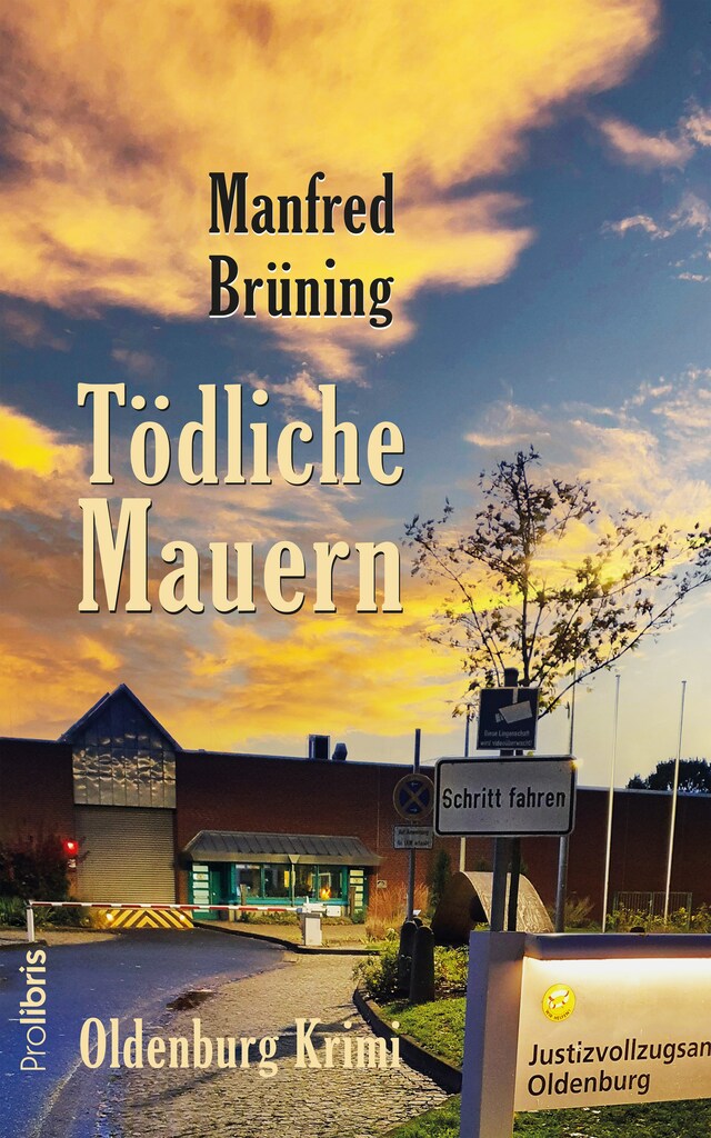 Book cover for Tödliche Mauern