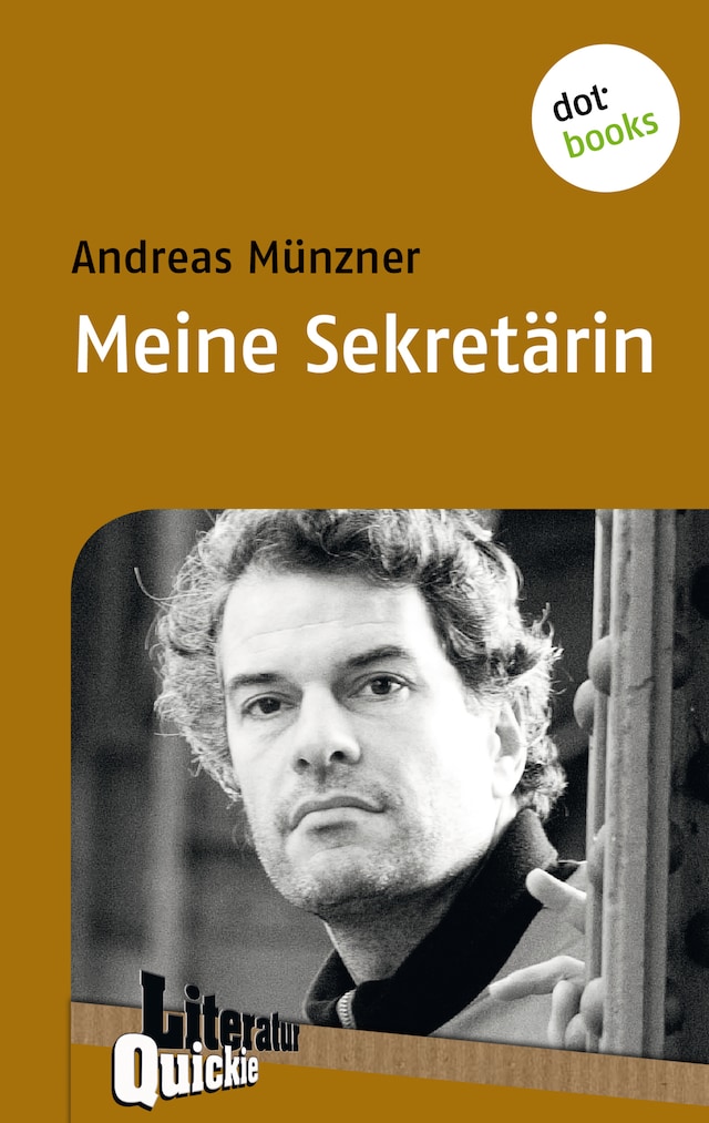 Book cover for Meine Sekretärin - Literatur-Quickie