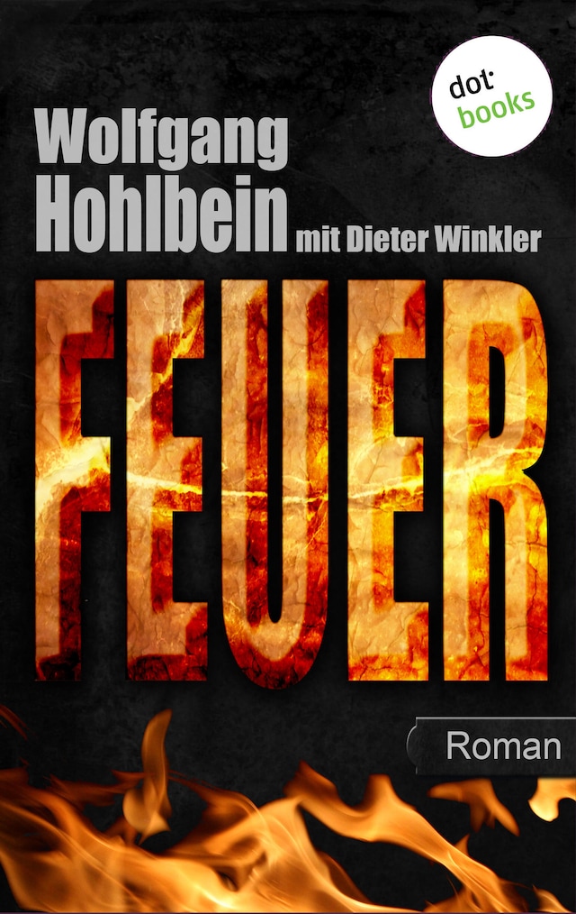 Book cover for Feuer