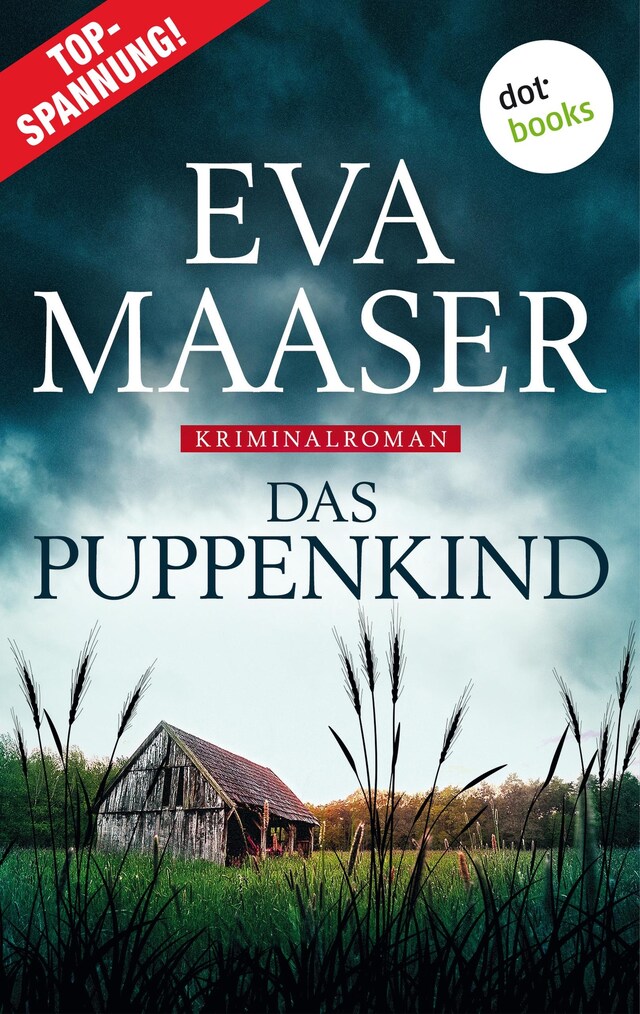 Book cover for Das Puppenkind