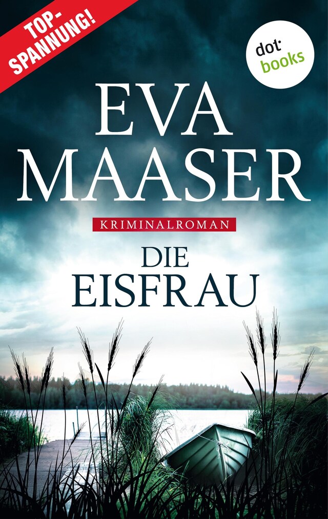 Book cover for Die Eisfrau