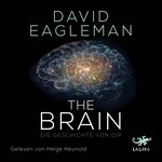 The Brain