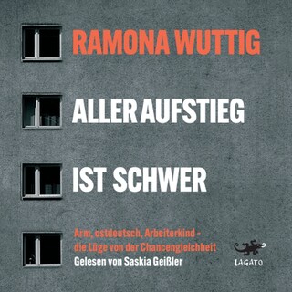 Aller Aufstieg ist schwer: als Hörbuch