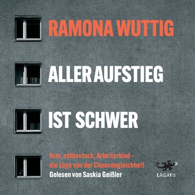 Cover von Aller Aufstieg ist schwer