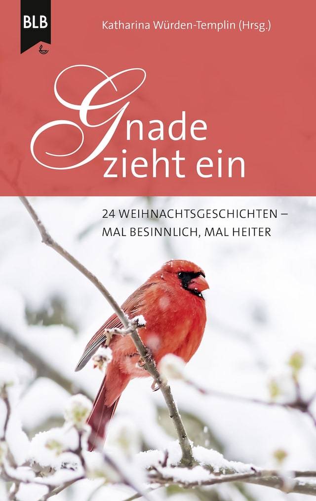 Book cover for Gnade zieht ein