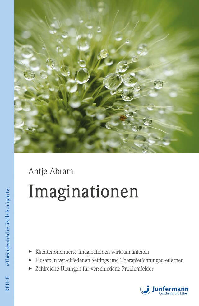 Book cover for Imaginationen