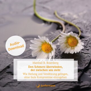Den Schmerz überwinden, der zwischen uns steht als Hörbuch