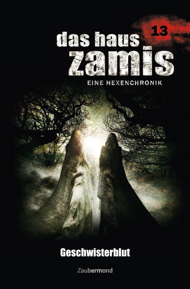 Copertina del libro per Das Haus Zamis 13 - Geschwisterblut