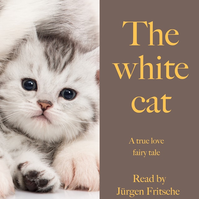 Book cover for The white cat