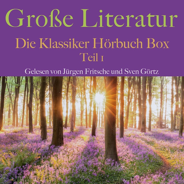 Book cover for Große Literatur: Die Klassiker Hörbuch Box