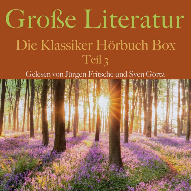 Bokomslag for Große Literatur: Die Klassiker Hörbuch Box