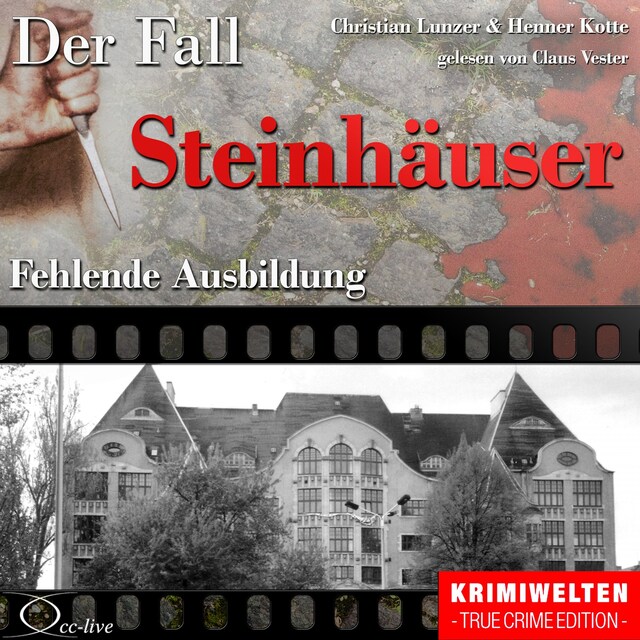 Book cover for Fehlende Ausbildung - Der Fall Steinhäuser