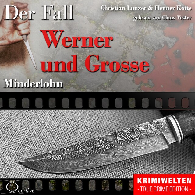 Book cover for Minderlohn - Der Fall Werner und Grosse