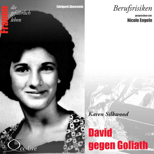 Book cover for Berufsrisiken - David gegen Goliath (Karen Silkwood)