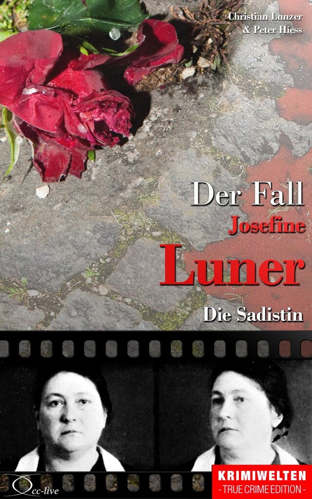 Couverture de livre pour Der Fall Josefine Luner
