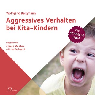 Aggressives Verhalten bei Kita-Kindern als Hörbuch