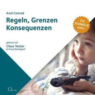 Regeln, Grenzen, Konsequenzen als Hörbuch