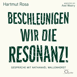 Beschleunigen wir die Resonanz! als Hörbuch