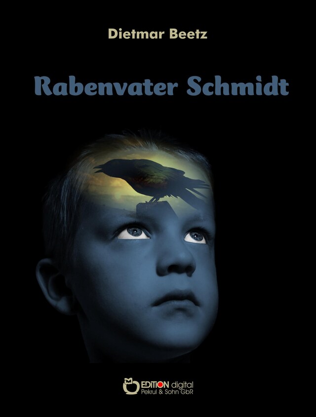 Copertina del libro per Rabenvater Schmidt