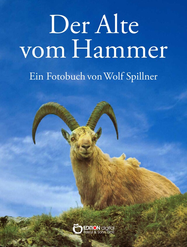 Book cover for Der Alte vom Hammer