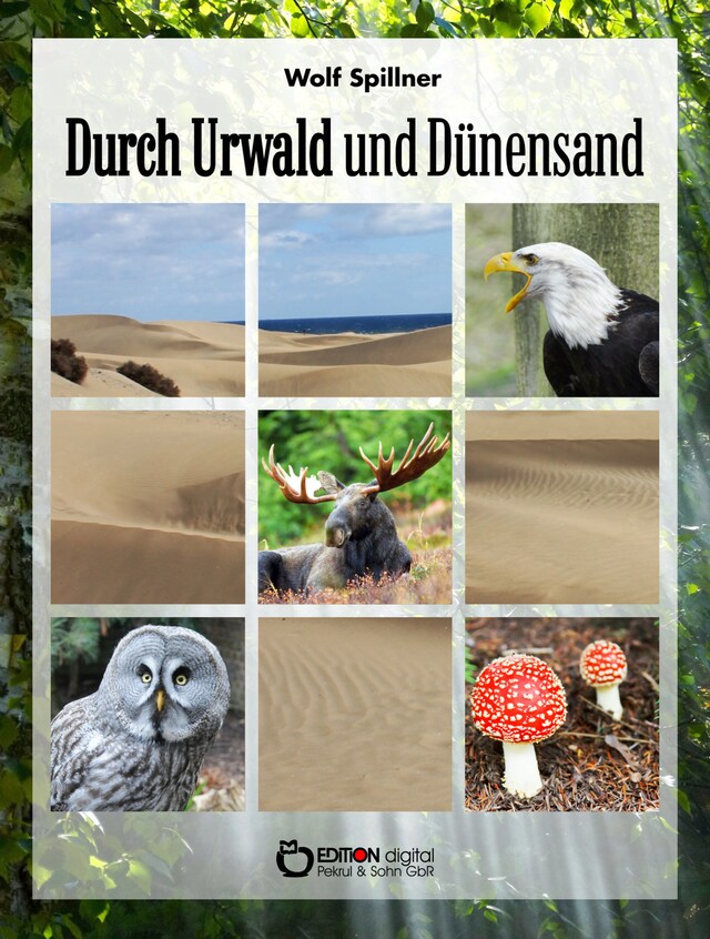 Book cover for Durch Urwald und Dünensand