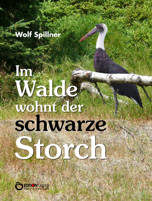 Okładka książki dla Im Walde wohnt der schwarze Storch