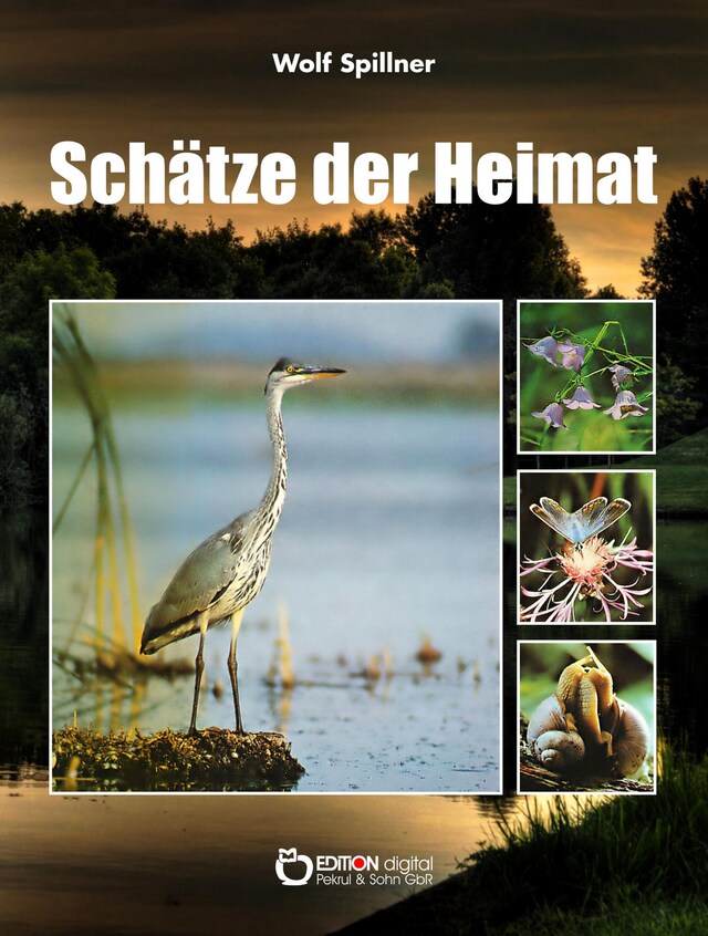 Buchcover für Schätze der Heimat