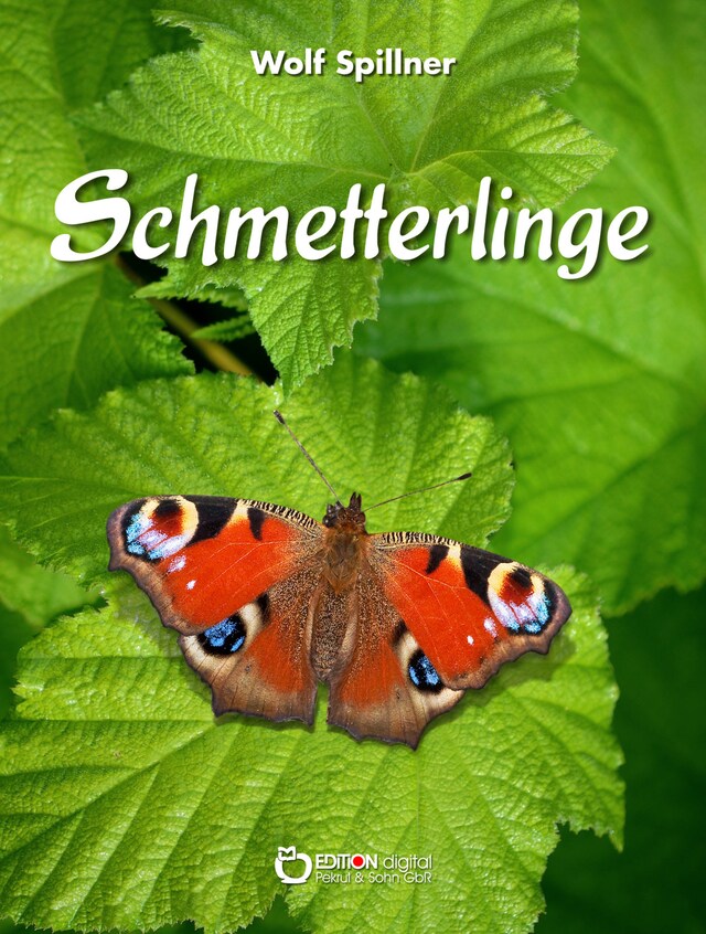 Buchcover für Schmetterlinge