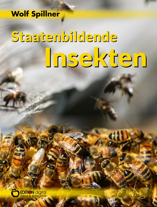 Boekomslag van Staatenbildende Insekten