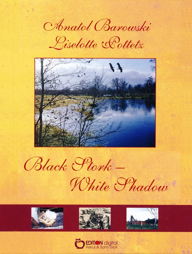 Book cover for Black Stork - White Shadow