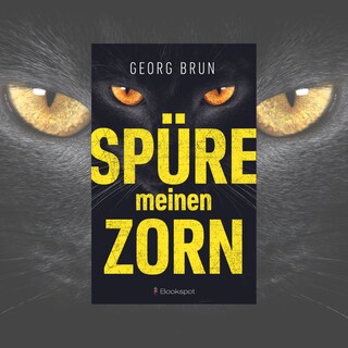 Spüre meinen Zorn als Hörbuch