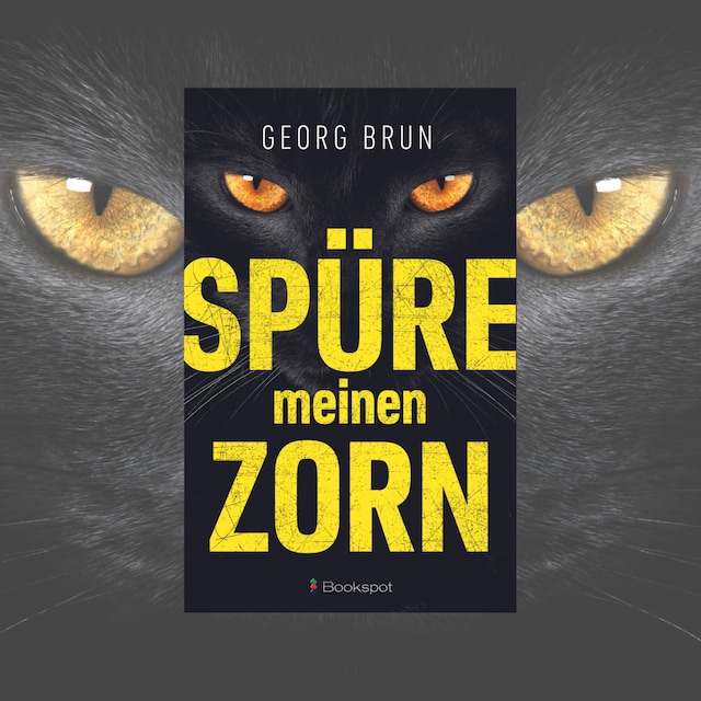 Buchcover für Spüre meinen Zorn