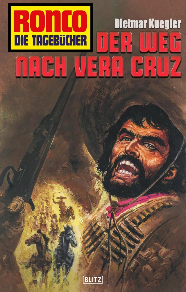 Buchcover für Ronco - Die Tagebücher 29: Der Weg nach Vera Cruz