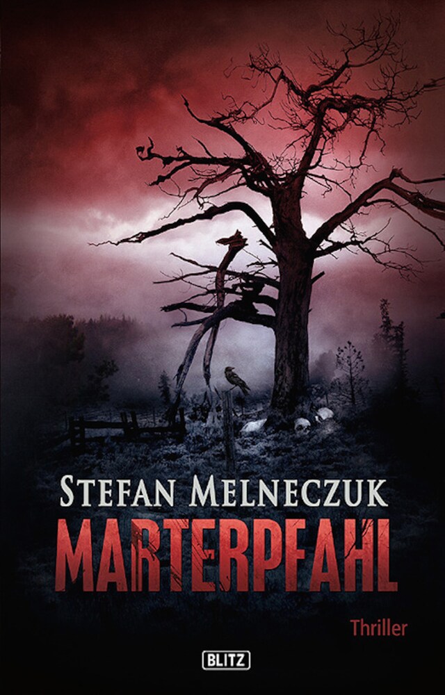 Buchcover für Marterpfahl