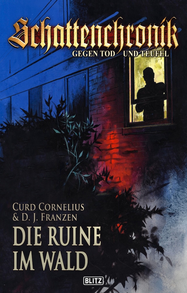 Book cover for Schattenchronik - Gegen Tod und Teufel 03: Die Ruine im Wald