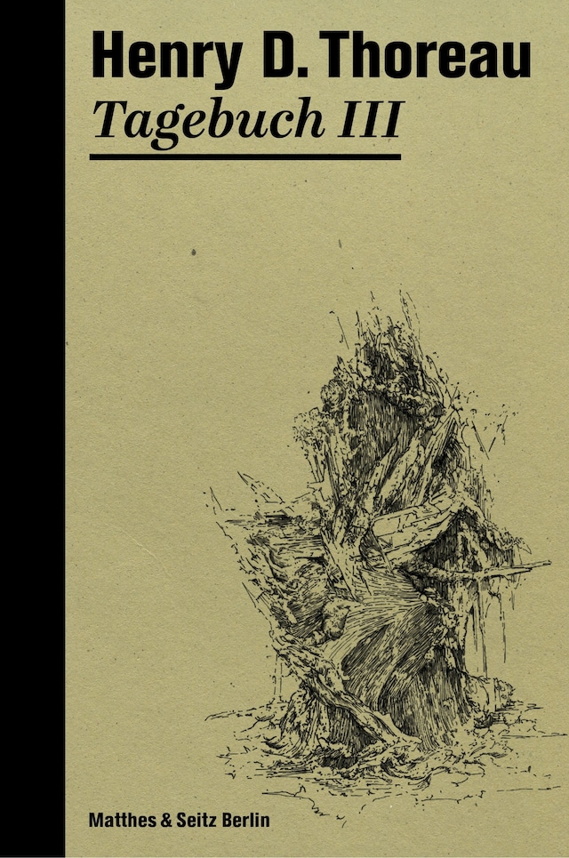 Book cover for Tagebuch III