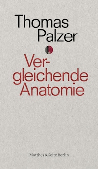 Vergleichende Anatomie