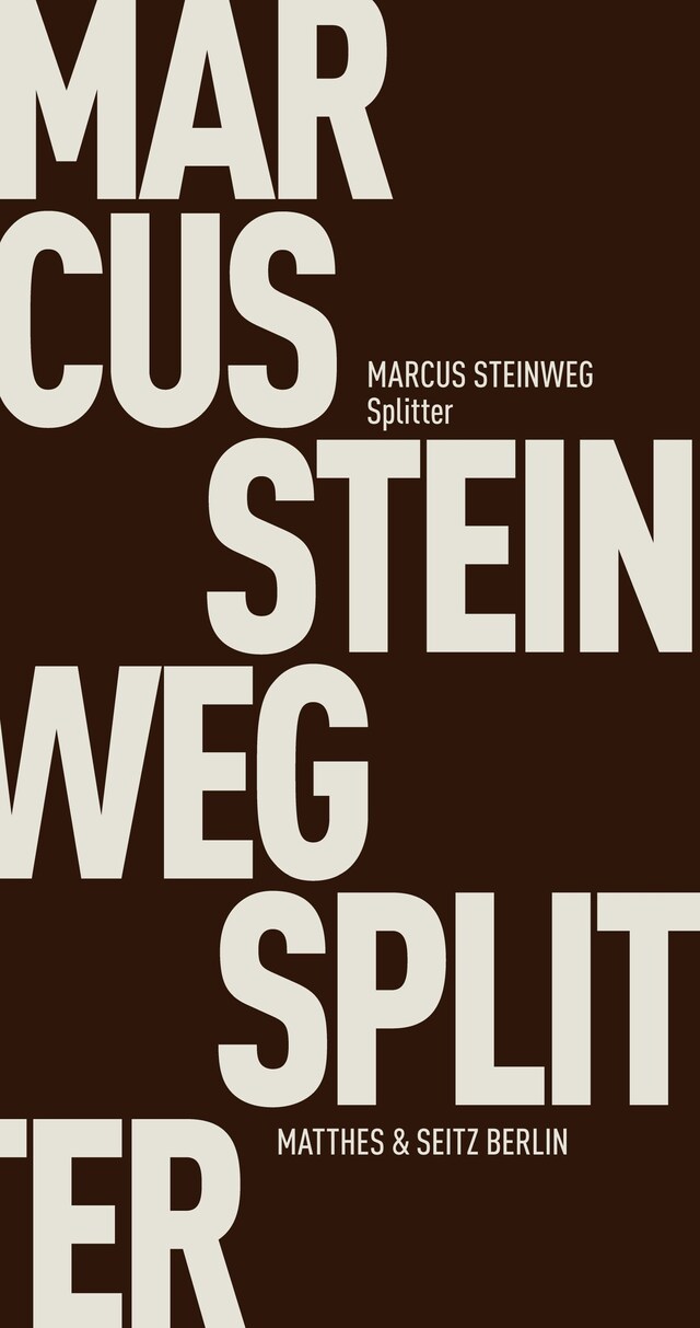 Book cover for Splitter