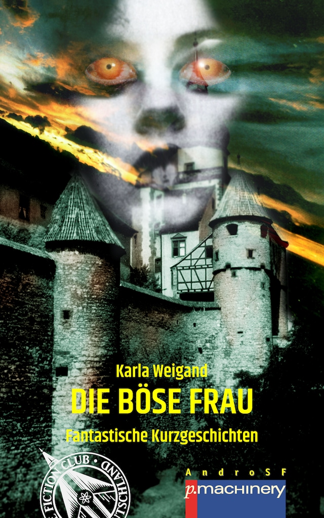 Book cover for Die böse Frau