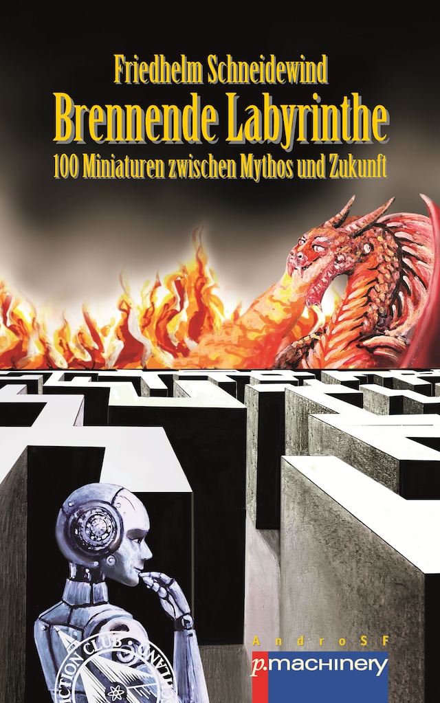 Book cover for BRENNENDE LABYRINTHE