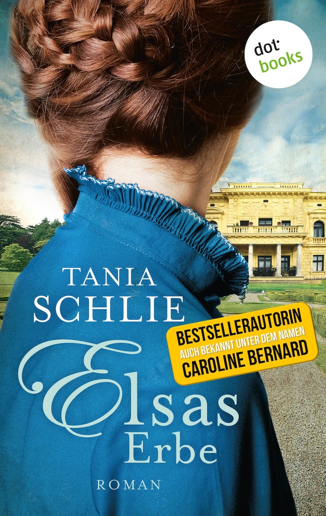 Book cover for Elsas Erbe