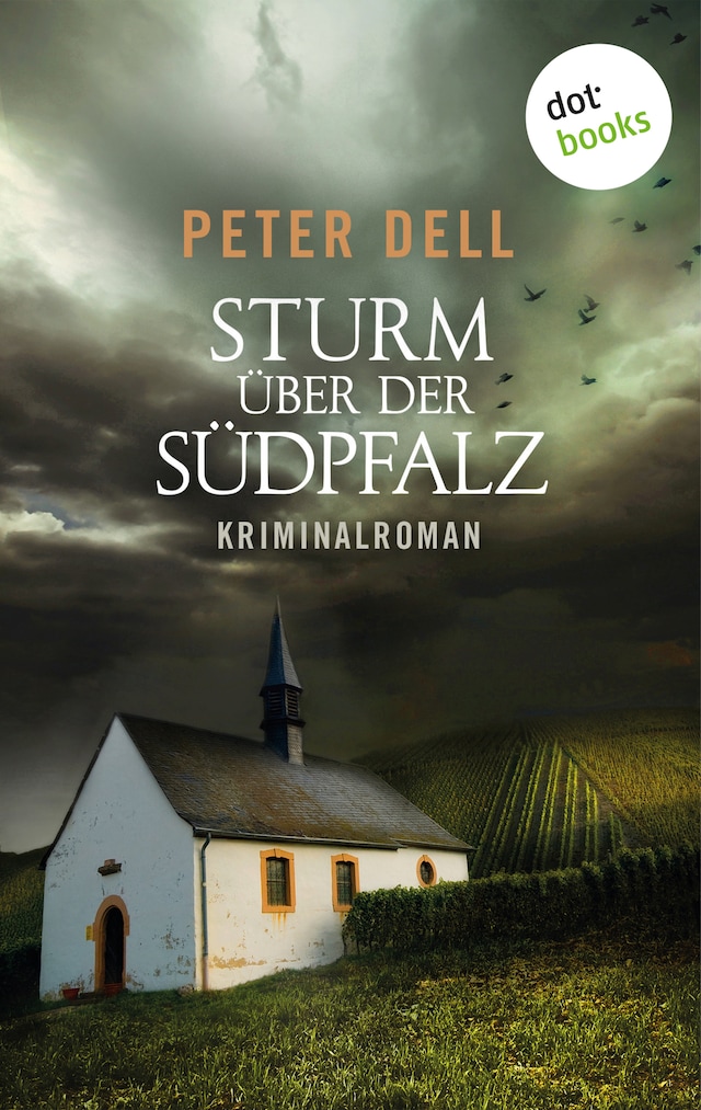 Book cover for Sturm über der Südpfalz: Der zweite Fall für Philipp Sturm