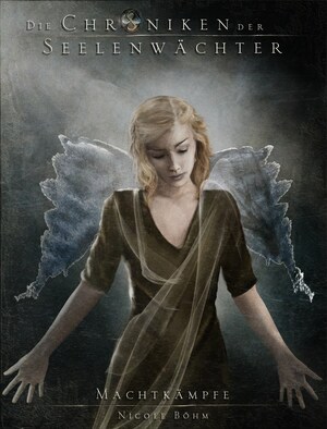 Die Chroniken der Seelenwächter - Band 8: Machtkämpfe (Urban Fantasy) bookCoverFor