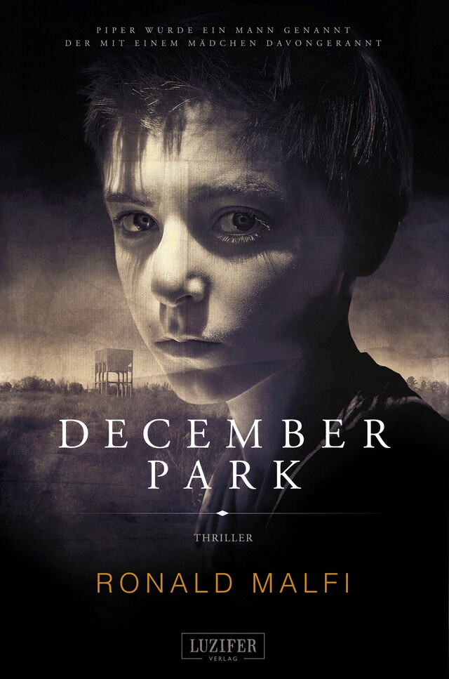 Book cover for DECEMBER PARK