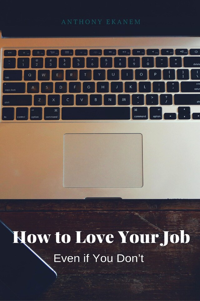 Boekomslag van How to Love Your Job