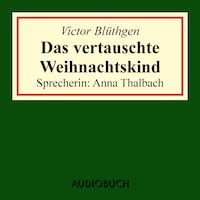 Das vertauschte Weihnachtskind