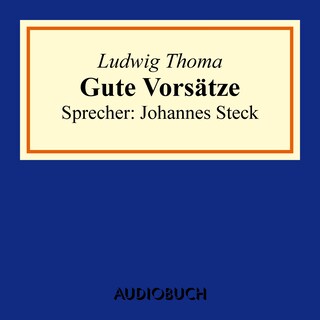 Gute Vorsätze als Hörbuch