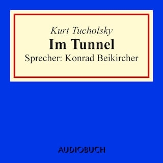 Im Tunnel als Hörbuch