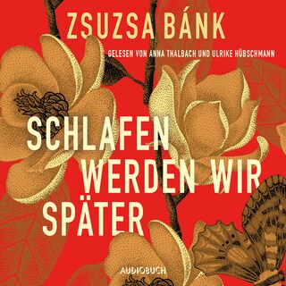 Schlafen werden wir später als Hörbuch